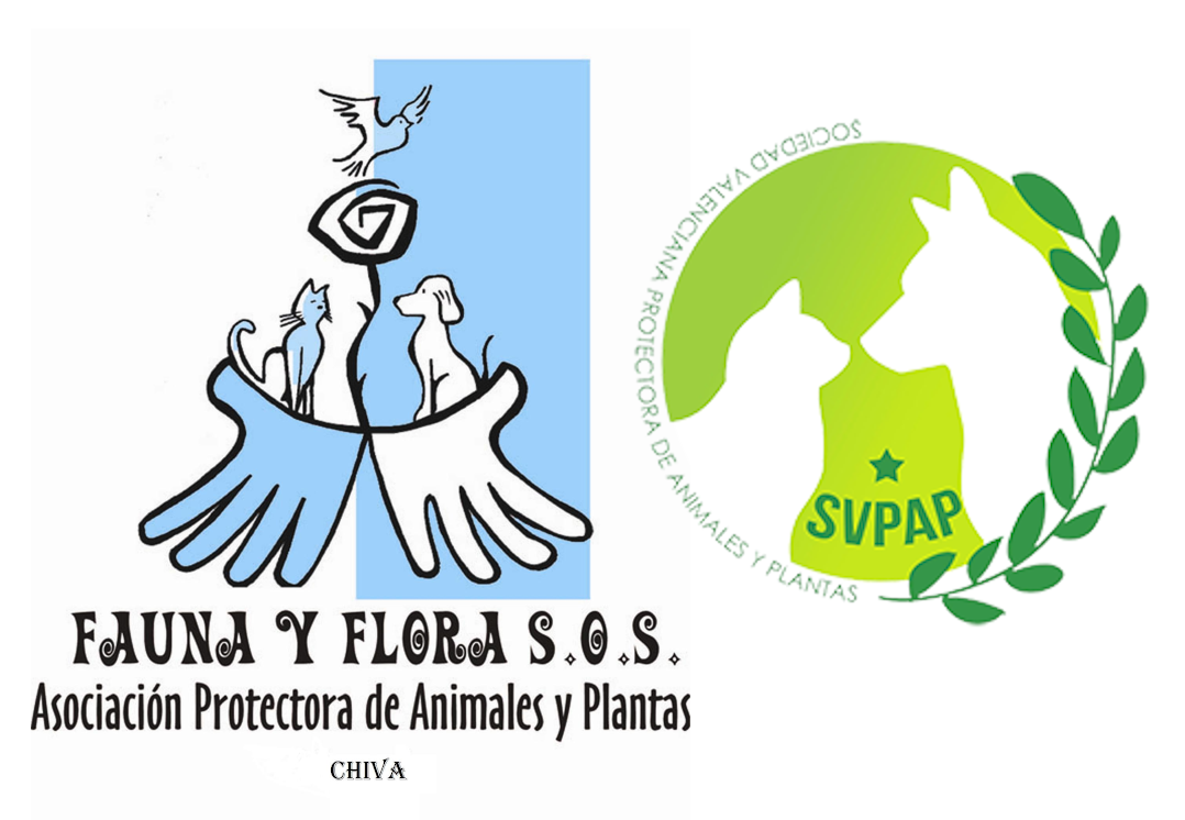protectora-animal-flora-y-fauna-voluntariado-valencia